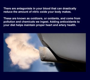 nitric oxide oxidation