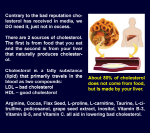 where cholesterol comes from