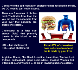 where cholesterol comes from