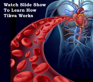 watch this slide show