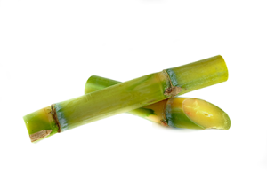 policosanol sugar cane
