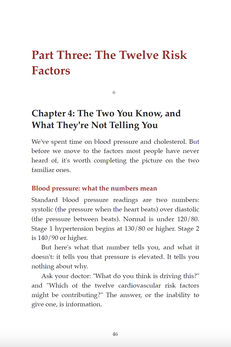 The Twelve Risk Factors chapter